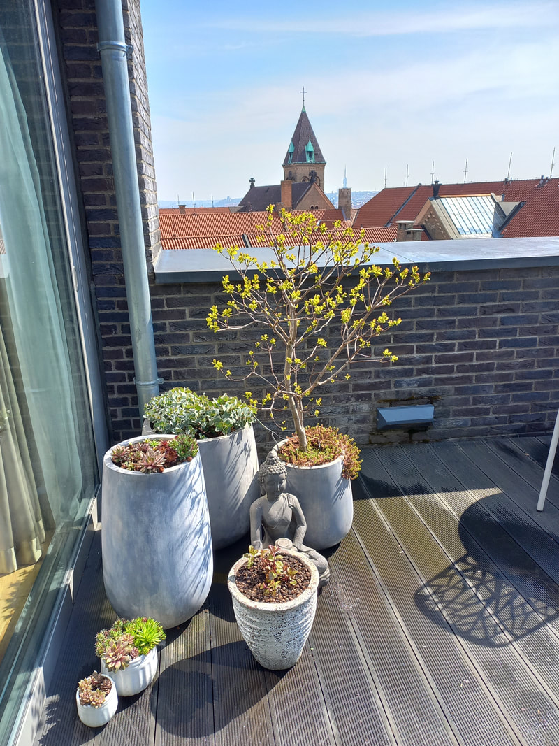 Květináč na střechu s výsadbou travin - moderní architektura na terase u bytu
