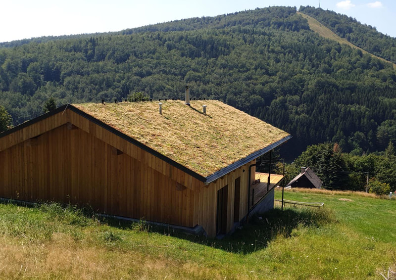 šikmá zelená střecha v krajině severních čech