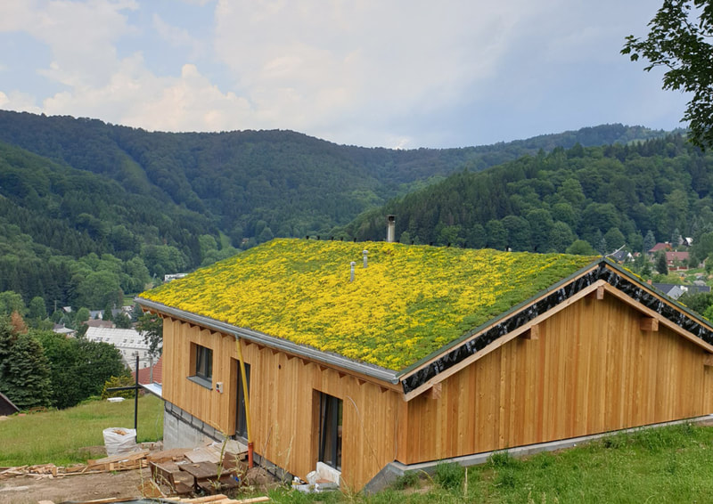 kvetoucí zelená šikmá střecha, šikmá zelená střecha v krajiném rázu, rozchodníkový koberec