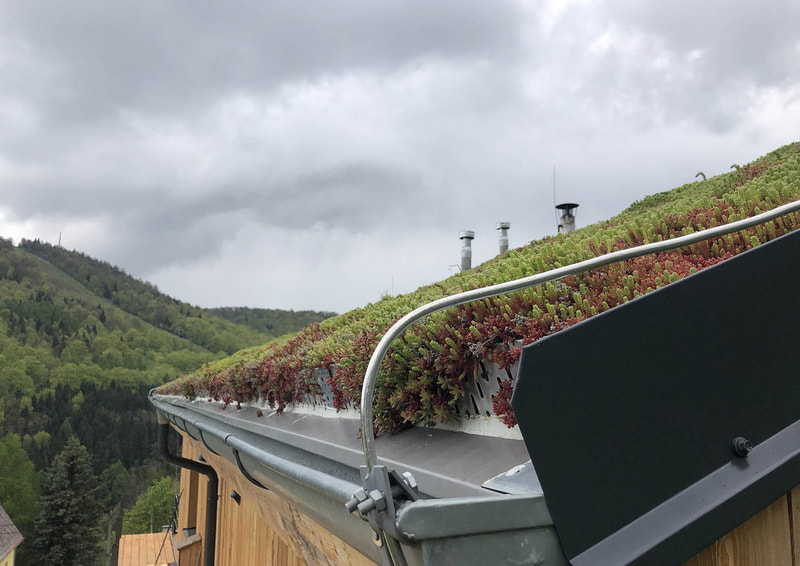detail zakončení šikmé zelené střechy