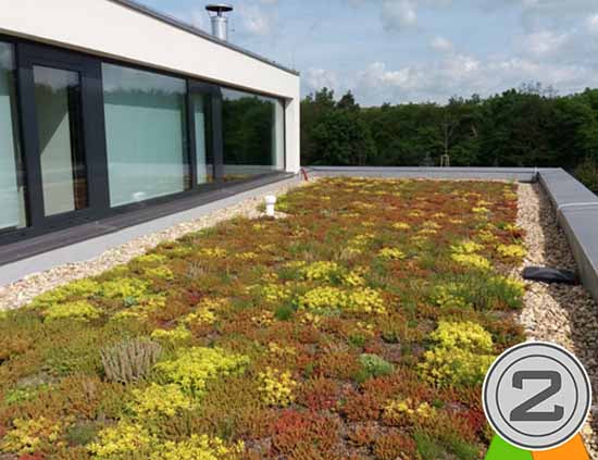 extenzivní zelená střecha - zelená střecha roku