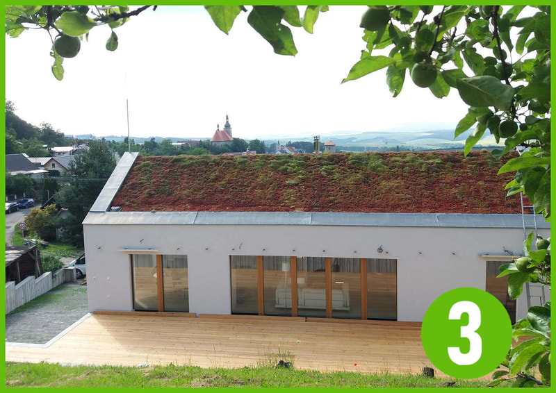 šikmá zelená střecha, krajinný ráz střech, střešní krytina - Vítěz zelená střecha roku 2020
